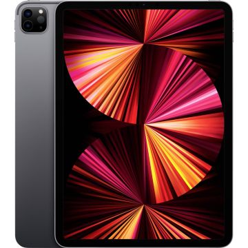 Begagnad iPad Pro 11 2020 256GB SIM Svart Grade B