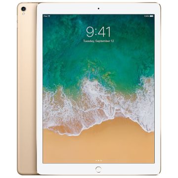 Begagnad iPad Pro G2 12.9 256G Wifi Guld Grade B