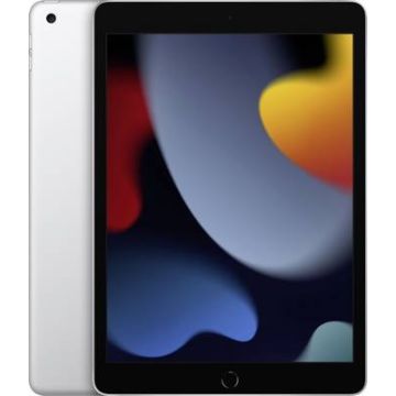 Begagnad iPad 9 2021 64GB Wifi Silver Grade A