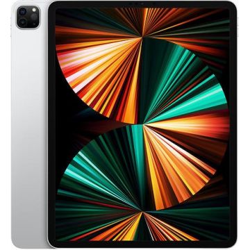 Begagnad iPad Pro 11 2021 512GB SIM Silver Gra A