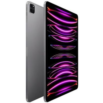 Begagnad iPad Pro G6 12.9 256GB WiFi Svart Grade A