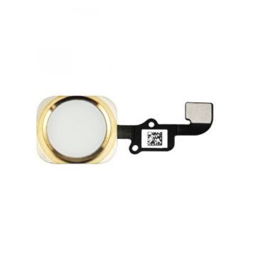 Hemknapp med flexkabel Iphone 6S / 6S plus Guld