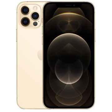Begagnad iPhone 12 Pro Max 256GB Guld