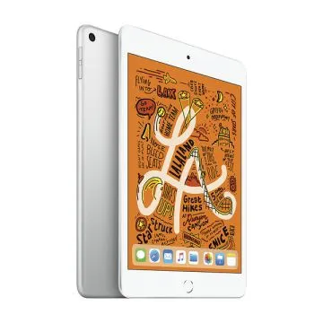 Begagnad iPad Mini 5 256GB Wifi Silver Grade B