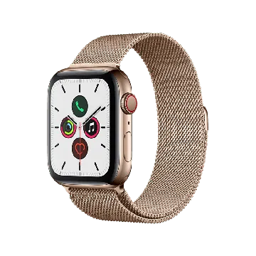 Apple Watch 5 Stainless 40mm eSIM Guld Grade A