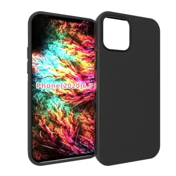 Skal iPhone 12 Pro Max Frostad